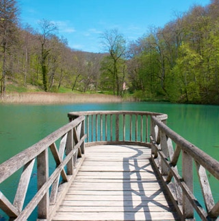 Holzsten in einem See
