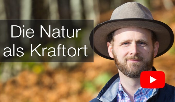 Video Video abspielen