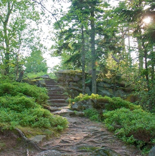 Waldweg mit Steintreppe