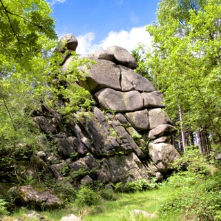 Felsen im Wald