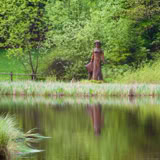 Bild zur Veranstaltung