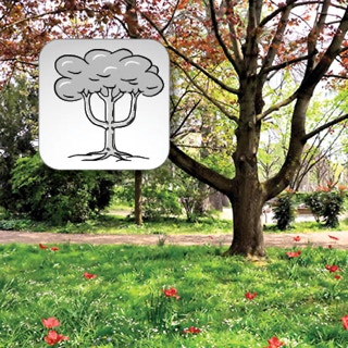 Doppelte Rüsseläste mit Schemazeichnung