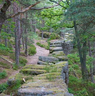 Historische Mauer im Wald