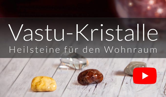 Video Video abspielen